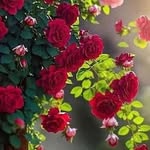 ebrahim_2022 - @ebrahim_esmaili_1362 - Instagram