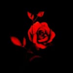 ebrahim_____fooladi0632 - @ebrahim_____fooladi0632 - Instagram