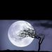 Ebrahim Fooladi - Facebook