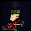 Ebrahim Gholami - @ebrahimgholami2 - TikTok
