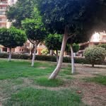 Ebrahim Hakim - @ebrahimhakim3 - Instagram
