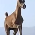 ebrahim.hakimi - @ebrahim.hakimi3 - Instagram