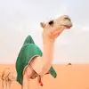 Md<Ebrahim Khan< - @ebrahimkhan999 - TikTok
