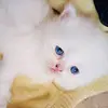 NanaEbrahim - @nanaebrahim80 - TikTok