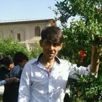 Ebrahim  Parsa - @ebrahimparsa86 - Instagram