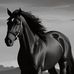Ebrahim Dereny - Facebook
