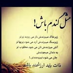Ebrahim Soltani Tehrani - @e_sallatin - Instagram
