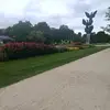 jattan njieyo - @ebrimajatta331 - TikTok