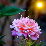 eby - @eby_agustine - Instagram