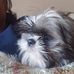 Echelle Rouzer - Facebook