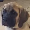Bailey Echo B. Johnson - @bailey.echo.b..jo - TikTok