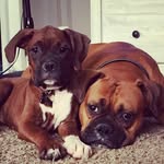 @echo.bailey.vader - Instagram