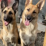 @echobailey1 - Instagram