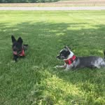 Echo And Bella - @echo_bella04 - Instagram