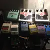echobellparademusic - @echobellparademusic - TikTok