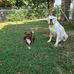 Bella Echo Bishop - Facebook