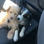 EchoBrady - @echo_brady_adventures - Instagram