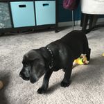 Echo Armstrong-Brown - @echoarmstrongbrown - Instagram