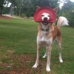 Echo Brown - @echo_littleone - Instagram