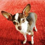 Echo Browne - @echobrowne - Instagram