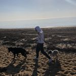 Buck and Echo - @buck_and_echo_adventures - Instagram