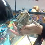 Echo Casey - @echo.the.dragon - Instagram