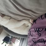 Echo Chan - Facebook