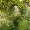 Eco.Council_🌍 - @eco.council - TikTok
