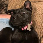 Echo Davis - @echos.planet - Instagram