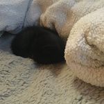 Echo👍🏻😎💩🐱😬 - @echo.davis_10 - Instagram