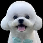 에코 | Echo - @echoday - Instagram