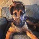 Echo Day - @the_echo_adventure - Instagram