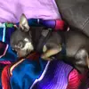 💋Echo.dayy💋 - @echo.day5 - TikTok