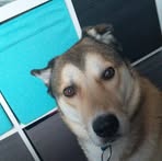 Echo Edwards - Facebook