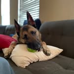 @echoedwardsanchez - Instagram