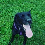 Echo Evans - @echotheblackbeauty - Instagram