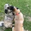 EchoValleyFarmTx.com - @b.evans.echovalleyfarmtx - TikTok