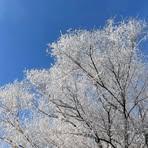 Echo Feng - Facebook