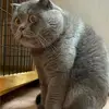 echofeng558 - @echofeng558 - TikTok