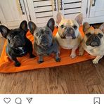 Echo Fisher - Facebook