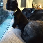 Echo Gardner - Facebook