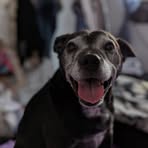 Echo Gardner-Spencer - Facebook
