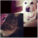 Echo And Gentry - @echo_n_gentry - Instagram