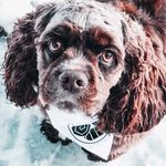 ECHO GRACE - @lifeofechograce - Instagram