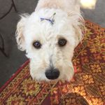 Echo Grace - @theechograce - Instagram