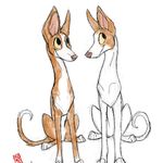 Alta, London, Echo and Gray - @altatheibizanhound - Instagram