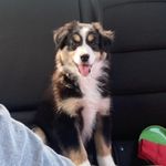 Echo Gray - @echoxgray - Instagram