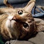 Echo Pearce-Gray - @echopearcegray - Instagram