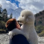 Echo Guo - @jackguo46 - Instagram