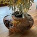 Echo Guo - Facebook
